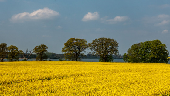 Au bord de la Schlei