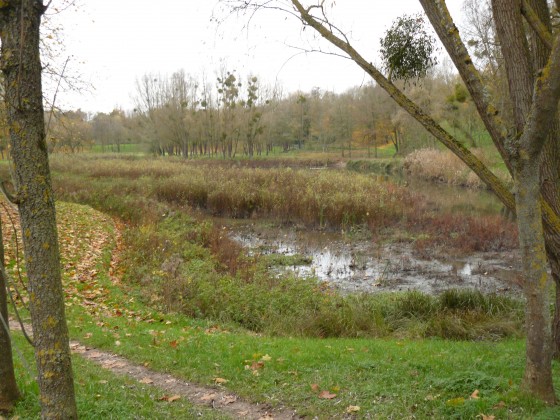 Ancien bassin des Damoiseaux Ancien bassin des Damoiseaux