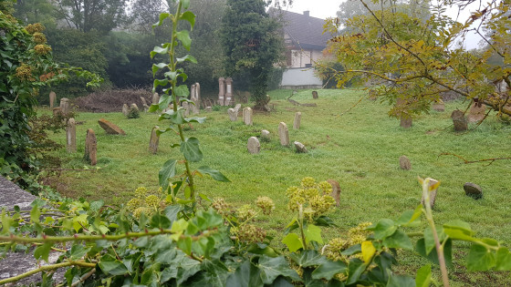 Ancien Cimetière Israélite à Rixheim