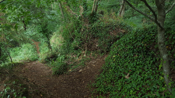 Ancien sentier au dessus de Mescalon
