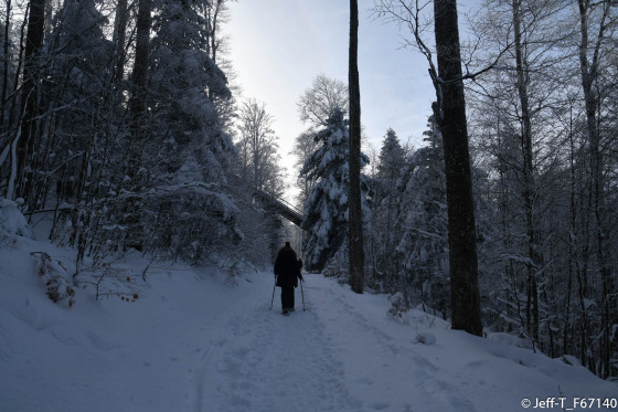 Ancien tremplin de saut à skis
