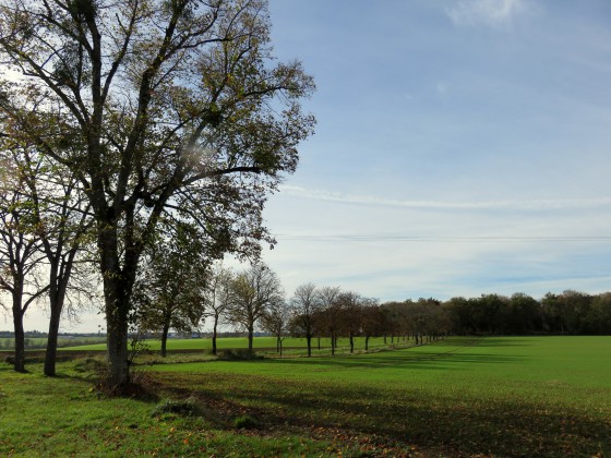 Ancienne allée latérale du château