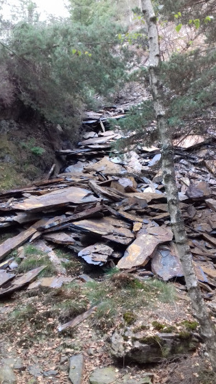 Ancienne carri&egrave;re de Cerceaux