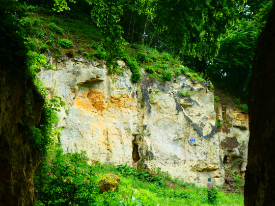 Ancienne carrière de marne