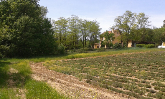 Ancienne gare de Saint Martin de Pallières