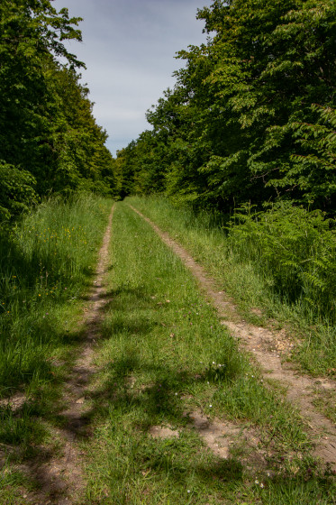 Ancienne route de Germigny à St-Jean