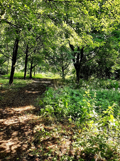 Ancienne voie de chemin de fer
