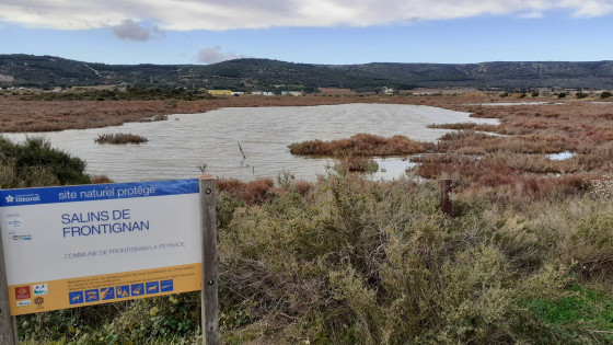 Anciens Salins de Frontignan