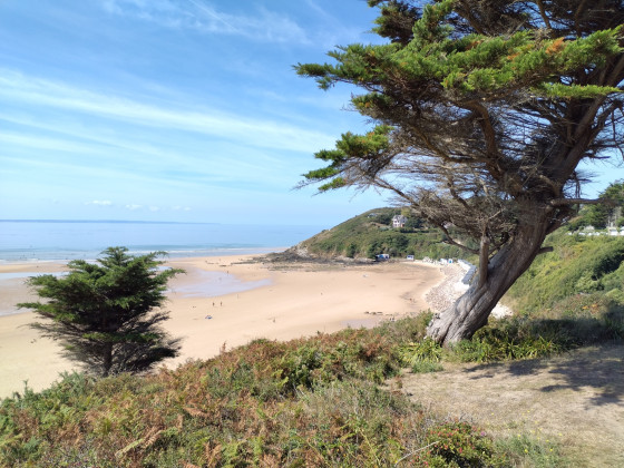 Anémomorphose en remontant de la plage