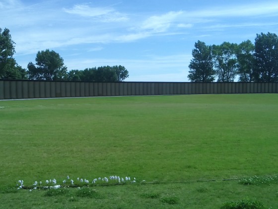 Anneau de la mémoire colline de Notre-Dame-de-Lorette