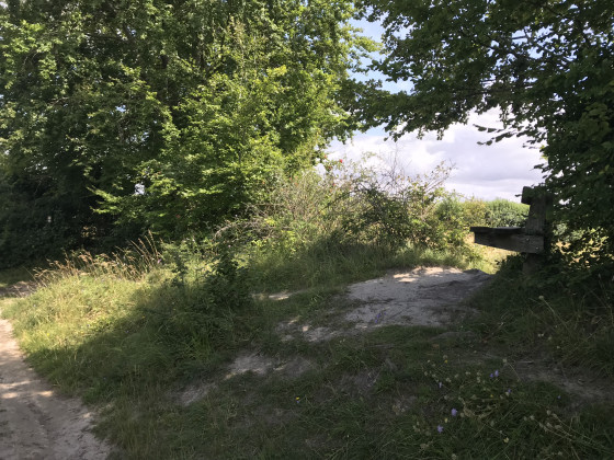 3. Un autre siège