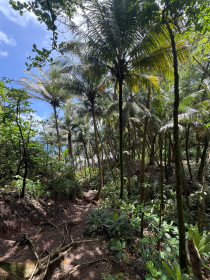 Anse &agrave; voile