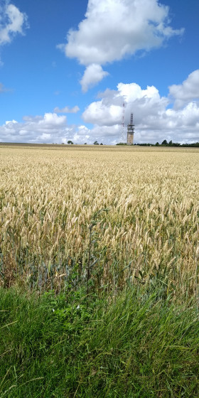 Antenne