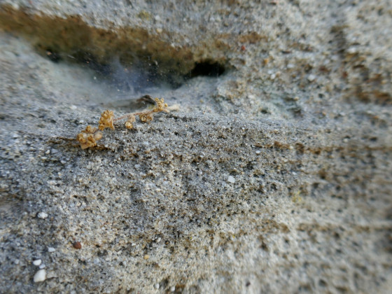 Aperçu de la granulométrie Aperçu de la granulométrie