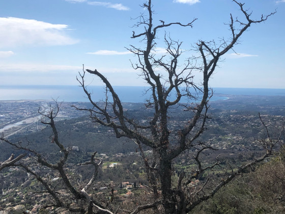 Aperçu sur le Cap d\'Antibes