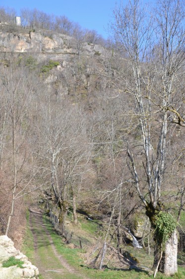 Aperçu