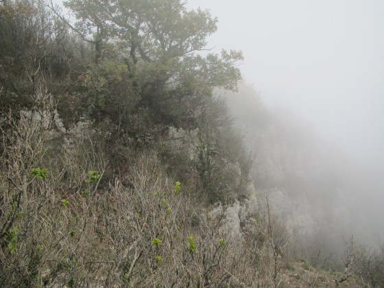 Aperçu