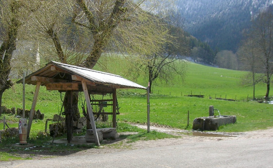 Appareil &agrave; ferrer les boeufs et chevaux...