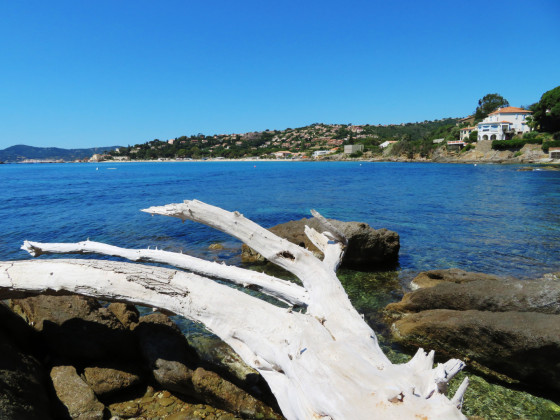 après la calanque du Four des Maures
