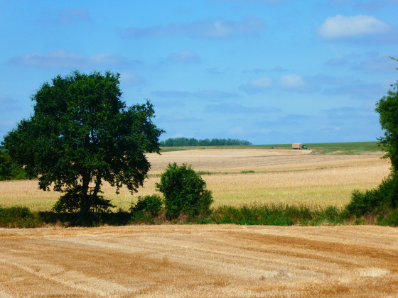 Après la moisson
