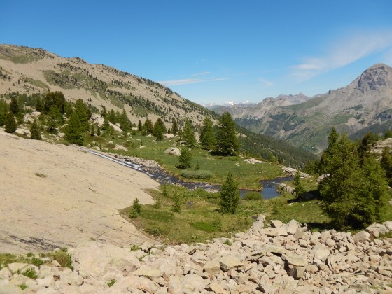 Après la forêt...