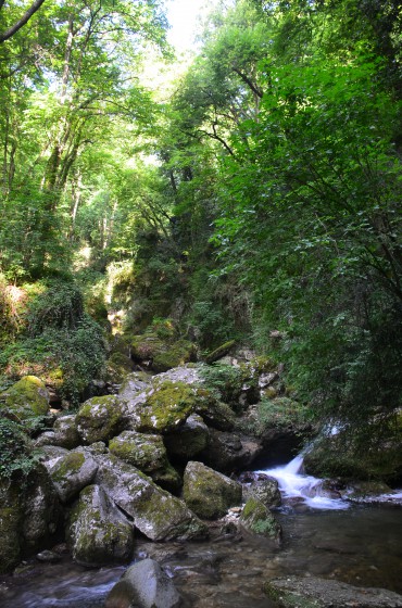 Après la résurgence... Après la résurgence...