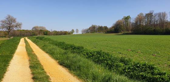 Large chemin avant le calvaire