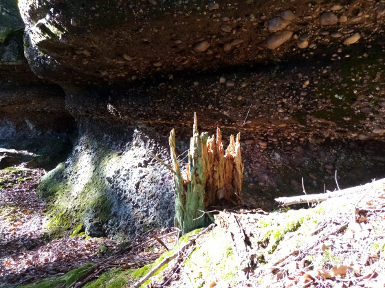 àproximité de la roche de Derzognier