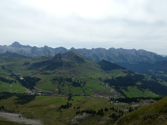 Aravis