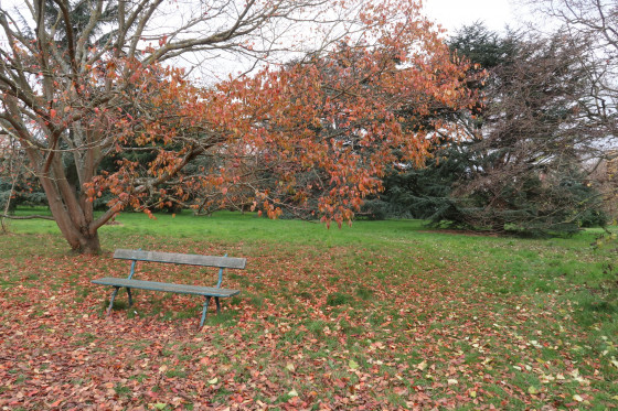 Arboretum