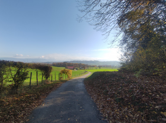 Paysage