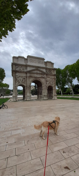 Arc de triomphe