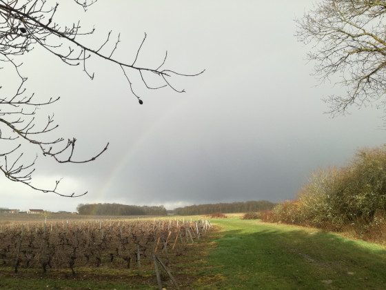 Arc-en-ciel