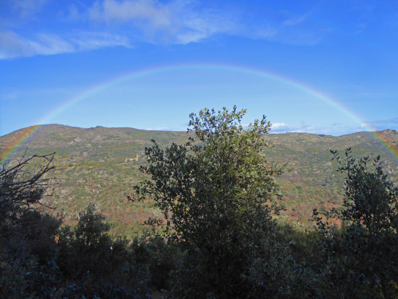 Arc en ciel