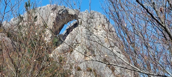 Arche au Rocher de la Dragonnier