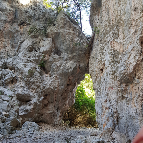 Arche