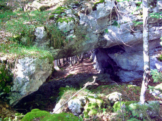Arche