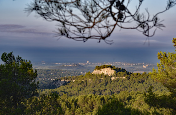 Arles