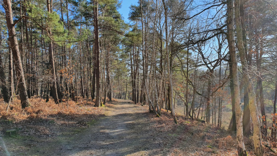 Arrivé sur l'étang de Coupe-Gorge