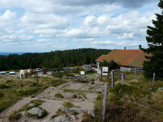 Arrivée à la ferme auberge du Gazon du Faing par le sentier balisé vers le Rudlin.