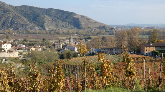 Arriv&eacute;e &agrave; St Jean de Muzol