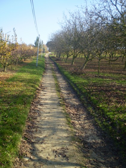 Arrivée au Chemin de Bruinie