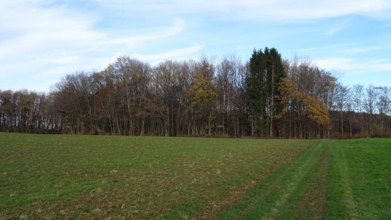 Arrivée au Point N°4