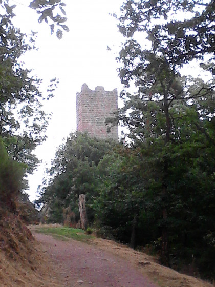 Arrivée au Saint Ulrich