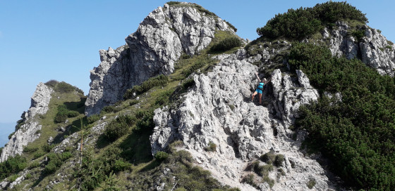 Arriv&eacute;e au sommet du Maly Rozsutec