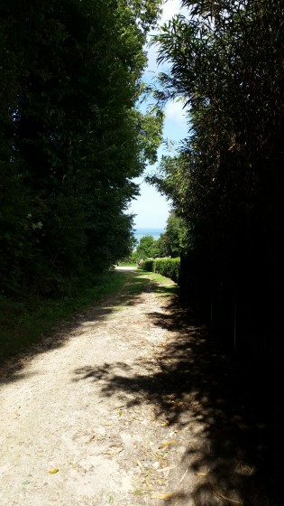Arrivée dans la côte des Moustiers Arrivée dans la côte des Moustiers