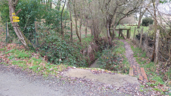 Arrivée du chemin longeant le ruisseau