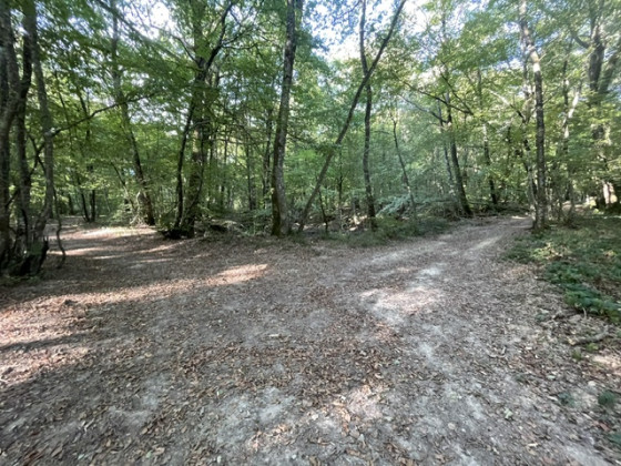 Arriv&eacute;e sur la carri&egrave;re