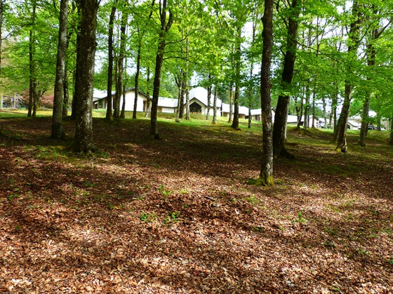 Arriv&eacute;e sur la colonie de vacance de Ramondens.