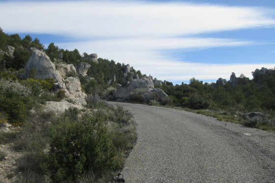 Arrivée sur la route forestière